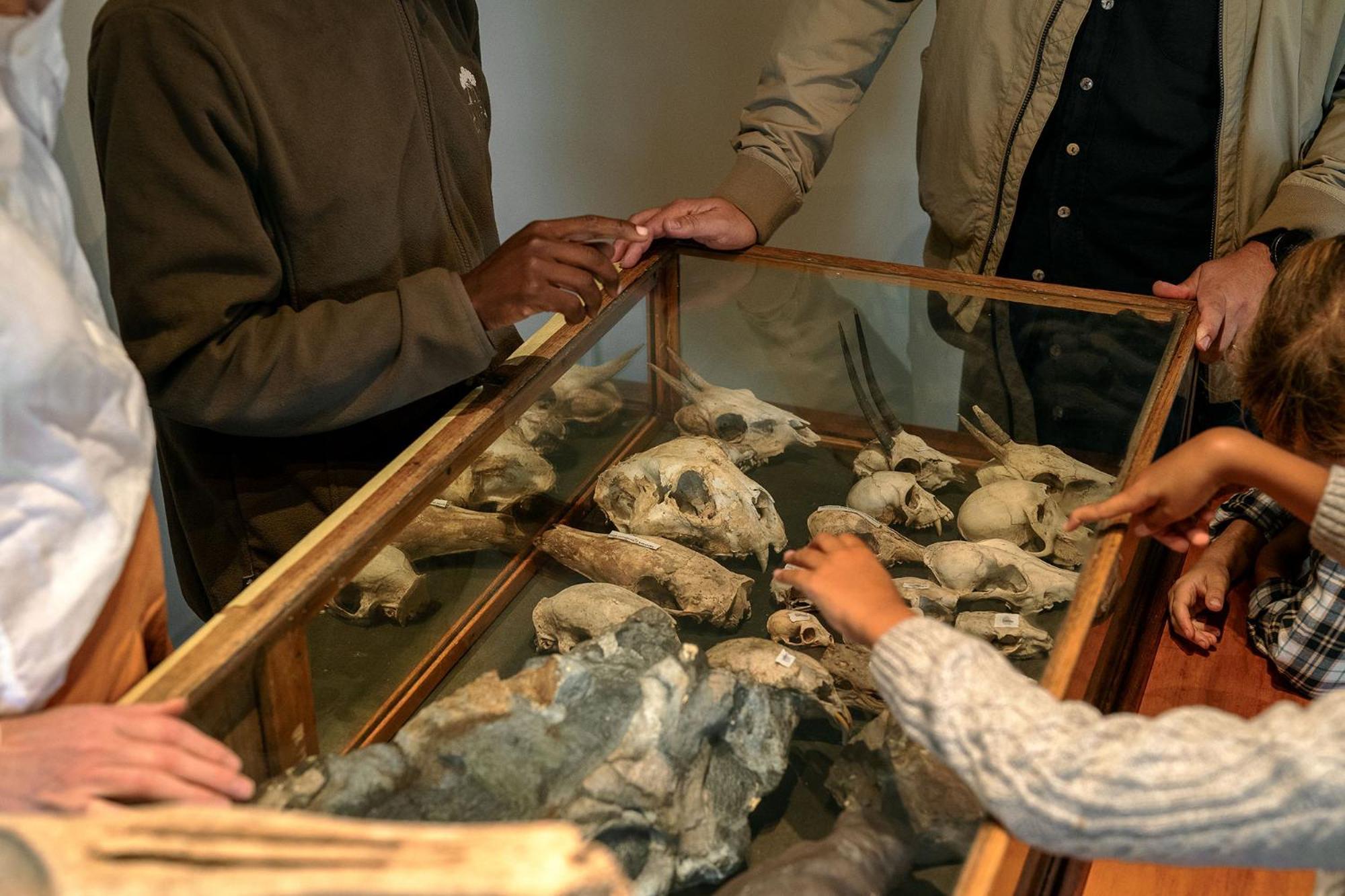 Samara Karoo Reserve Graaff-Reinet エクステリア 写真