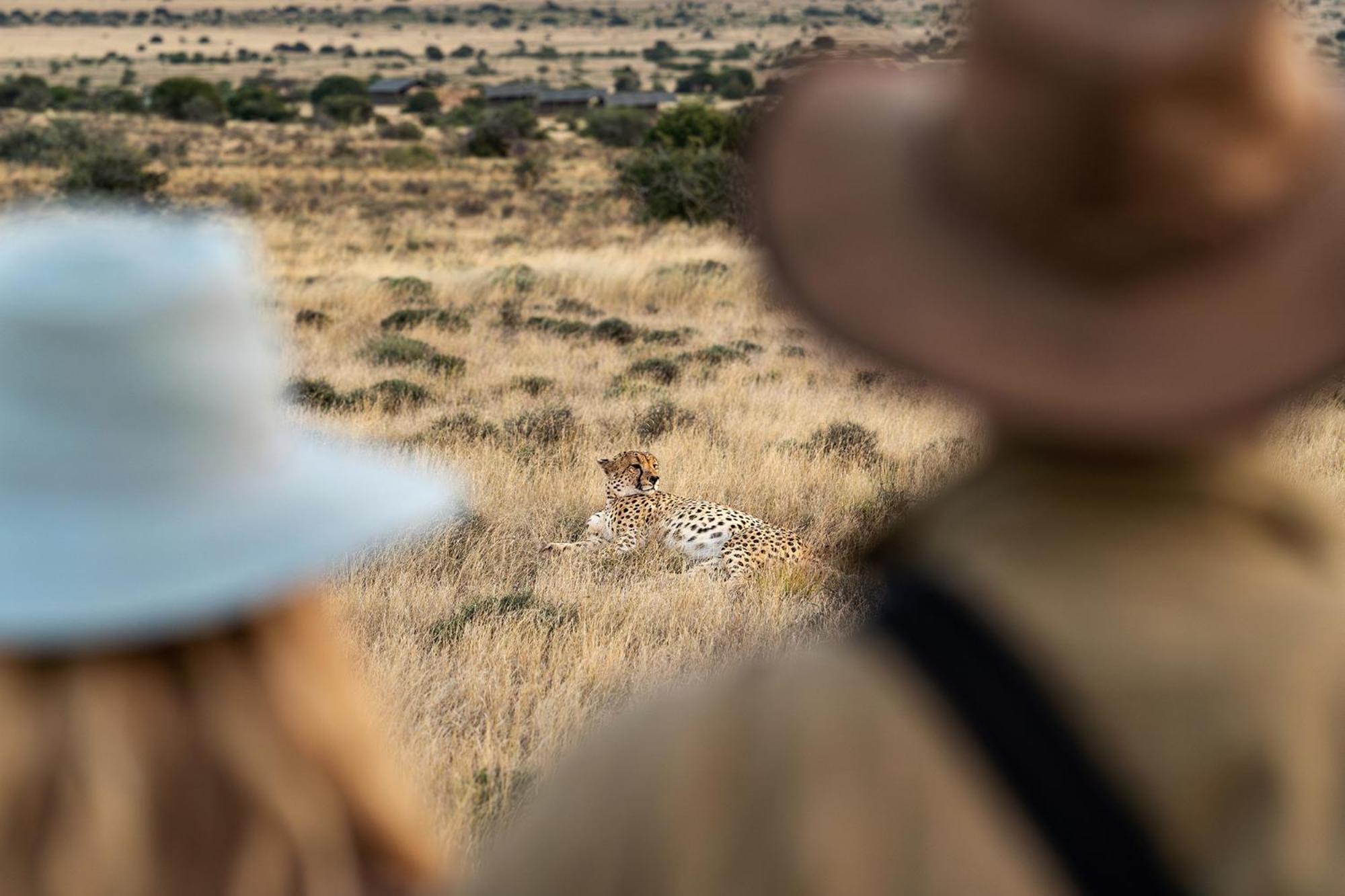Samara Karoo Reserve Graaff-Reinet エクステリア 写真