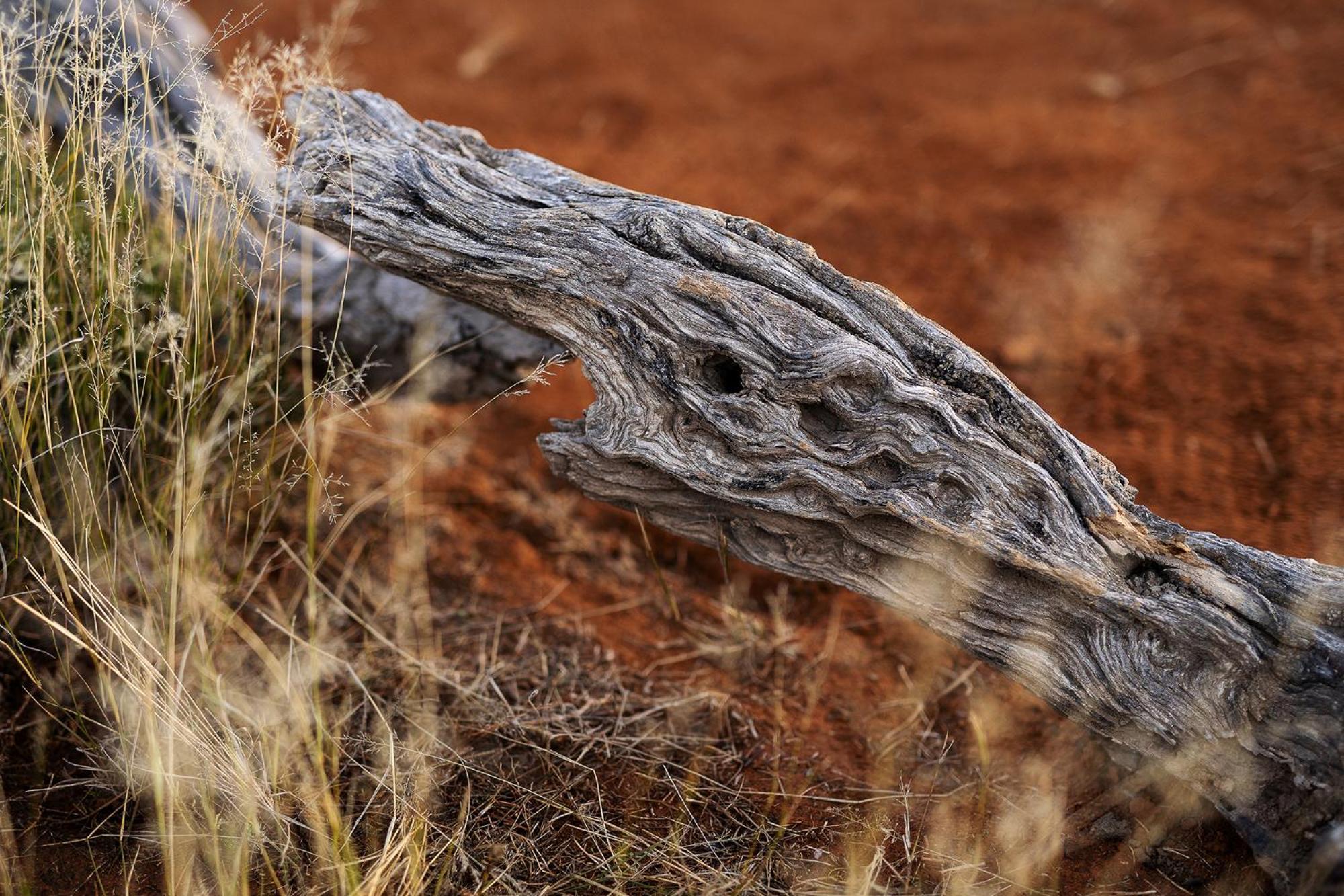 Samara Karoo Reserve Graaff-Reinet エクステリア 写真